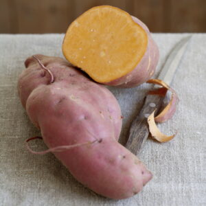 Bataat ehk maguskartul “Erato Deep Orange”