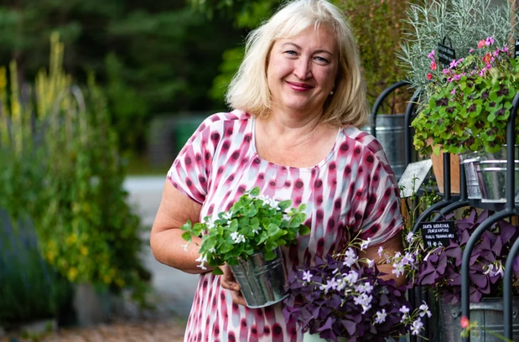 Särtsakad jänesekapsad aknalauale, peenrale ja taldrikule