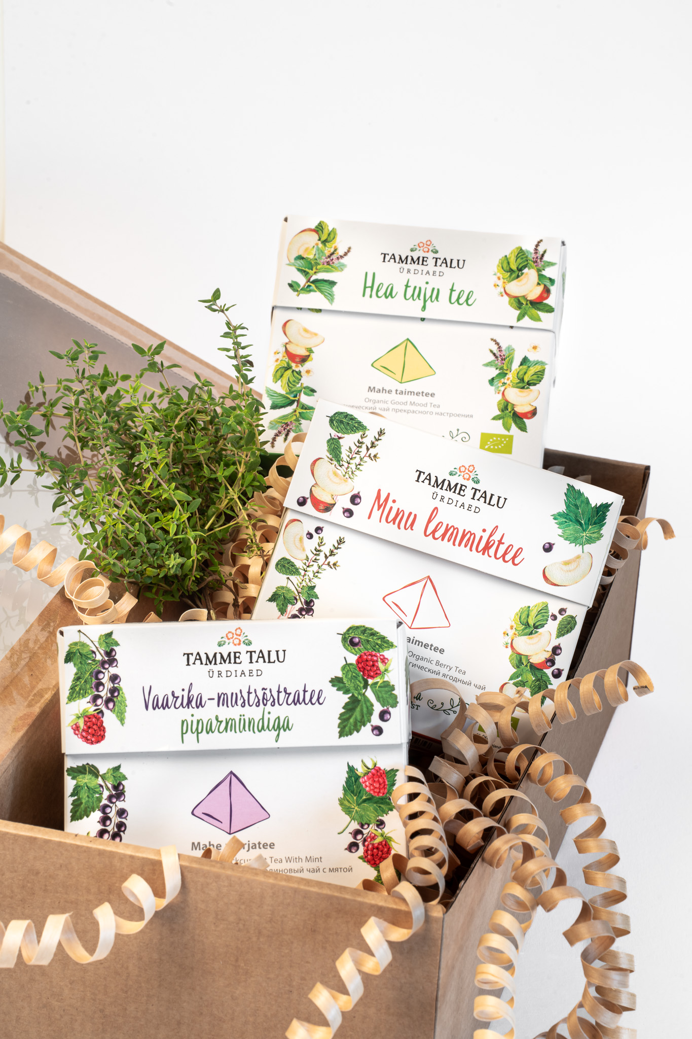 tamme talu ürdiaed, kinkekomplekt, ärikingitus, taimetee, marjatee, tee kinkekarp