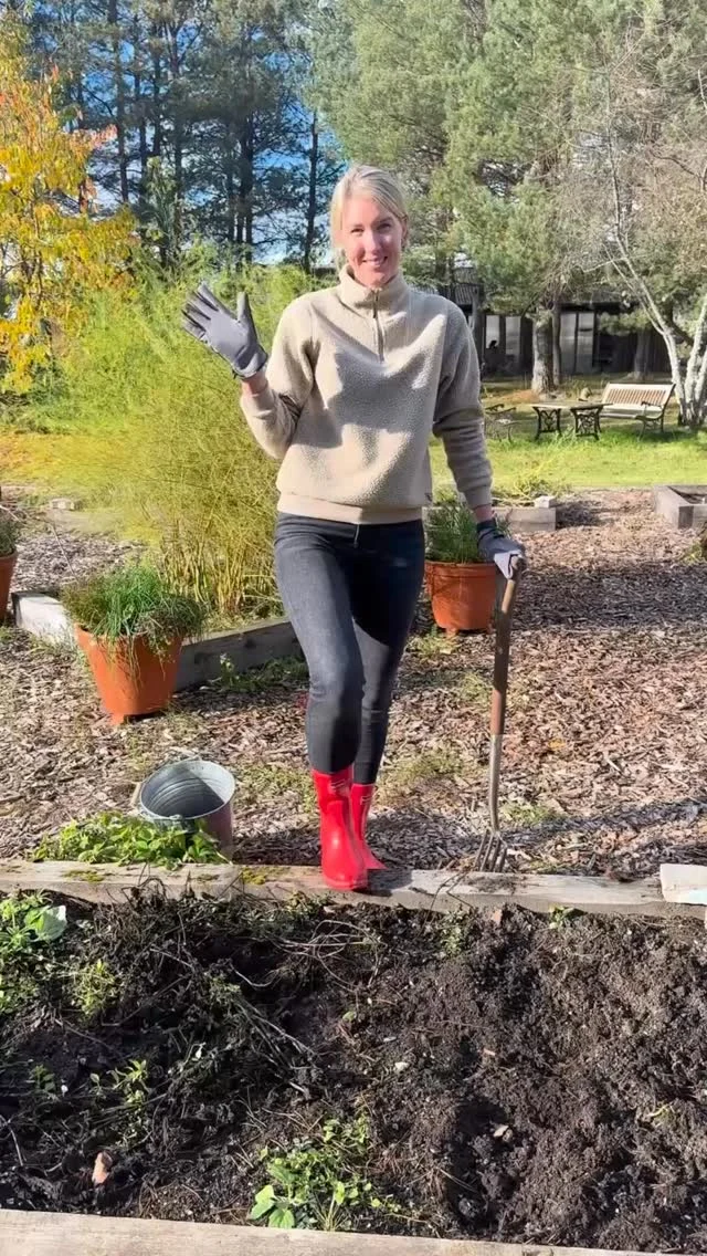 Anna kommentaarides teada, kas kasvatasid sel aastal bataati ja kuidas õnnestus🍠

Kui veel ei ole kasvatanud, siis meie soovitame järgmisel aastal proovida☺️

#tammetaluürdiaed #aiandus