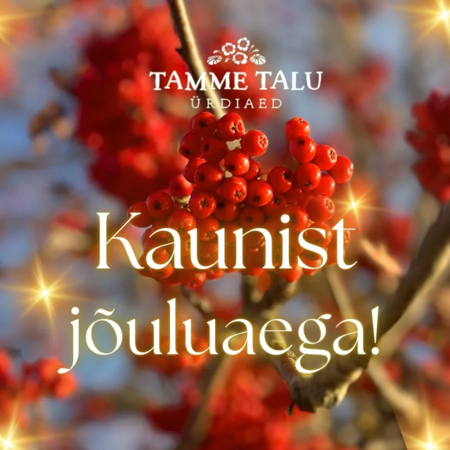 Kaunist jõuluaega ja mõnusaid koosviibimisi koos perega!💫🎄🥰

#tammetaluürdiaed